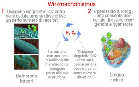 4.4. Kako deluje - IT